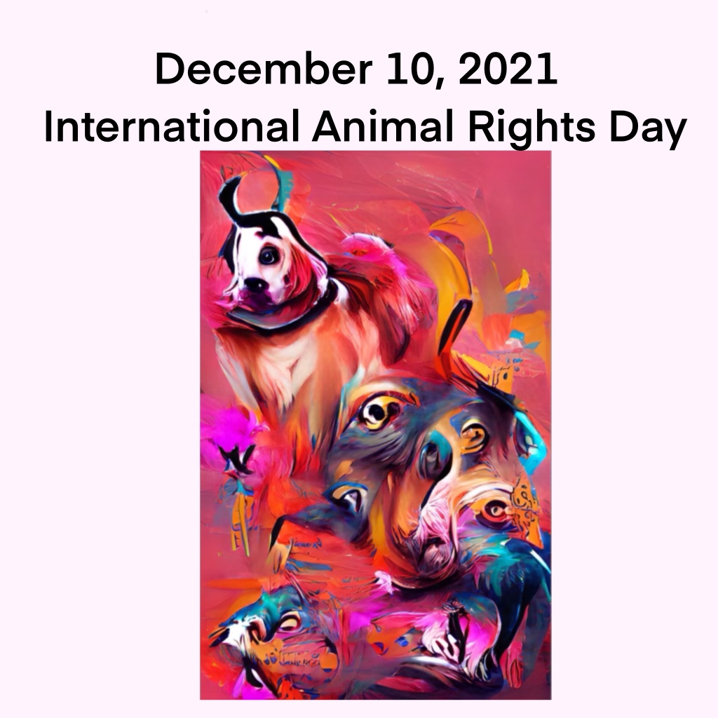 December 10, 2021: International Animal Rights Day – The Ang Family Studio